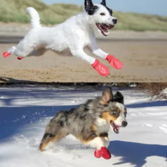 Pawz Red Rubber Dog Boots - Small - Picture 3 of 3